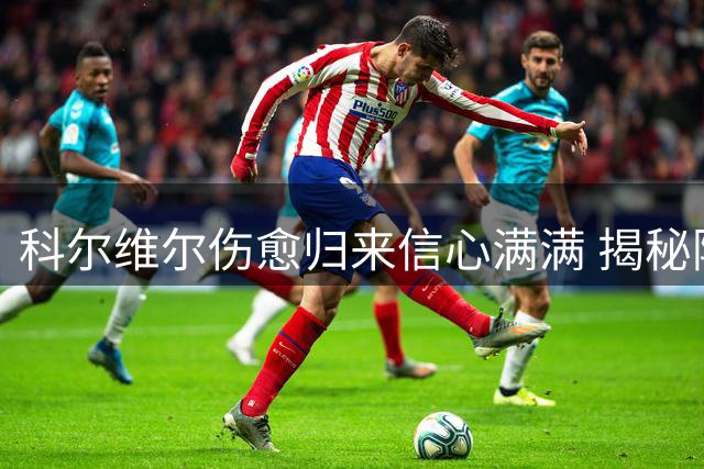 科尔维尔伤愈归来信心满满 揭秘阿隆索战术蓝图助蓝军蜕变